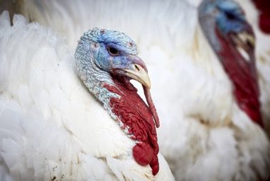 skin care institute nov 2019 tulsa ok blog 2