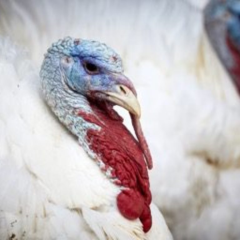 skin care institute nov 2019 tulsa ok blog 2